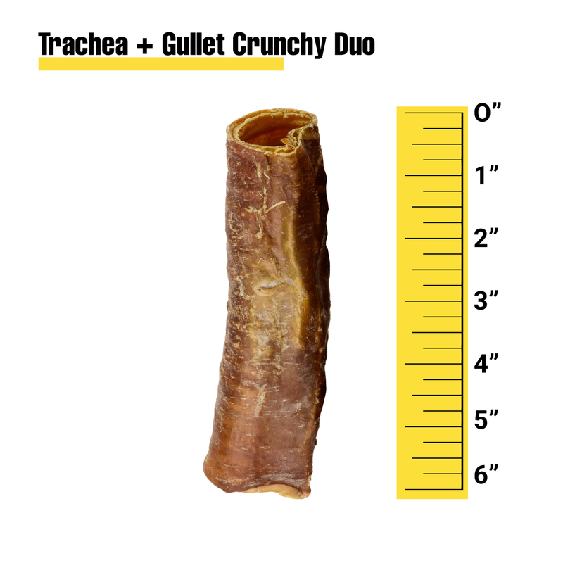 Trachea + Gullet Crunchy Duo