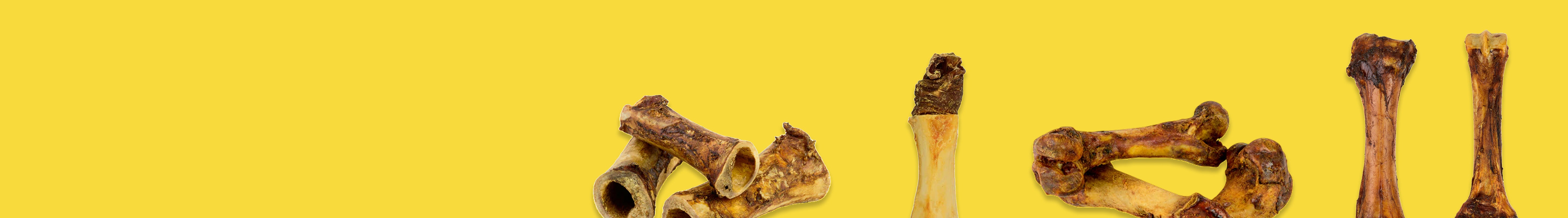 Bones