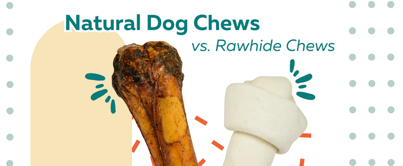 Natural Chews vs Rawhide Chews: Which is Better for Dogs?