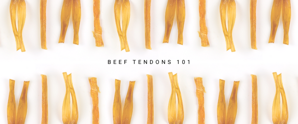 Beef Tendons 101