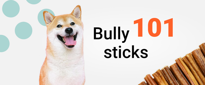 Ultimate Bully Sticks Guide: Varieties, Shapes, and Sourcing Secrets