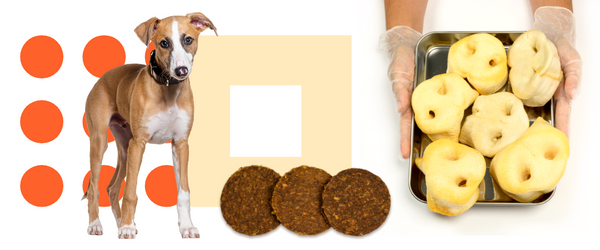 Fulfilling the Demand for Healthier Pet Snacks