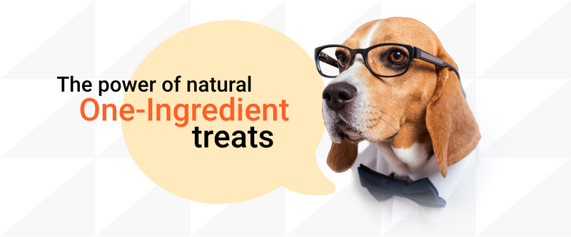 The Power of Natural, One-Ingredient Treats: A Guide for Dog Business Owners