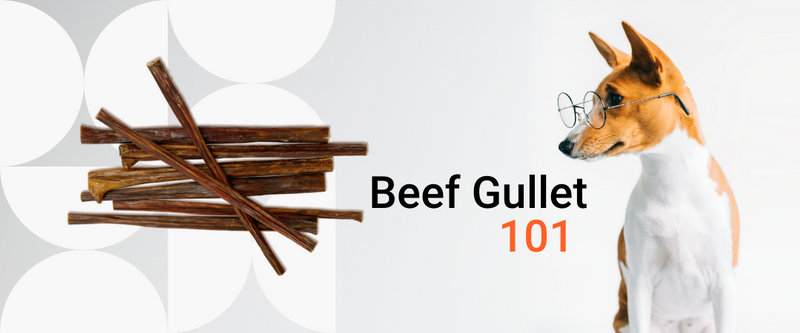 The Zenta Pets Guide to Beef Gullet