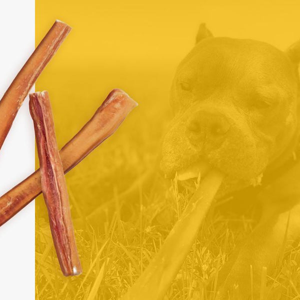 Bulk bully sticks sales wholesale