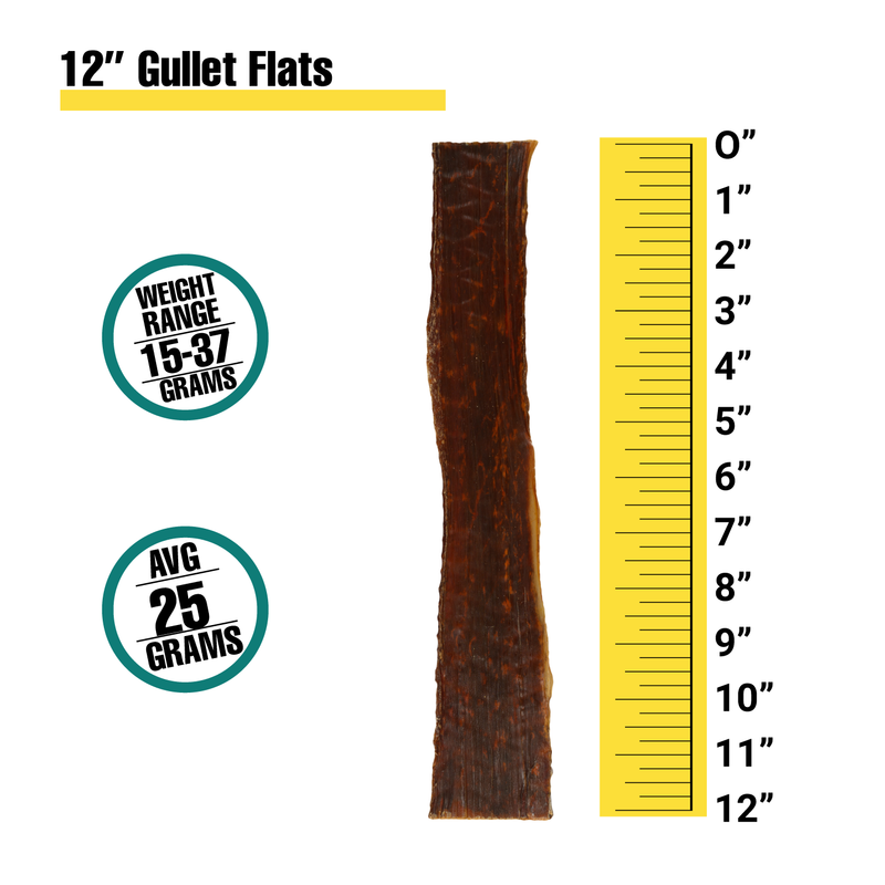 12” Gullet Flats - Bulk Box