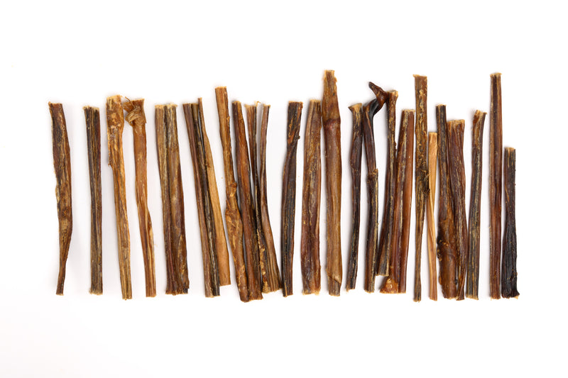 Pig Pizzle Stick - Bulk Box