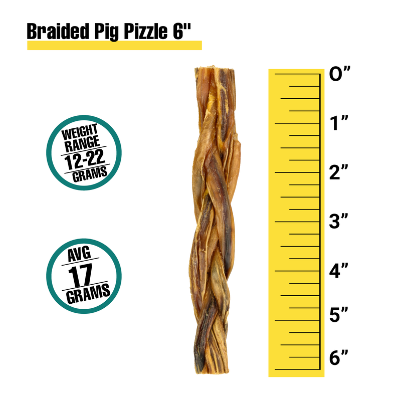 6" Braided Pig Pizzle - Bulk Box