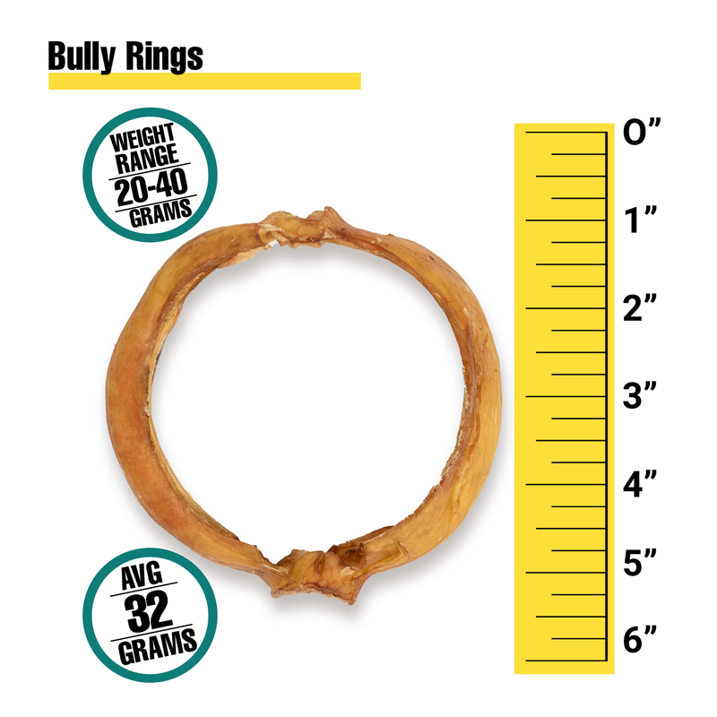 Bully Rings - Bulk Box
