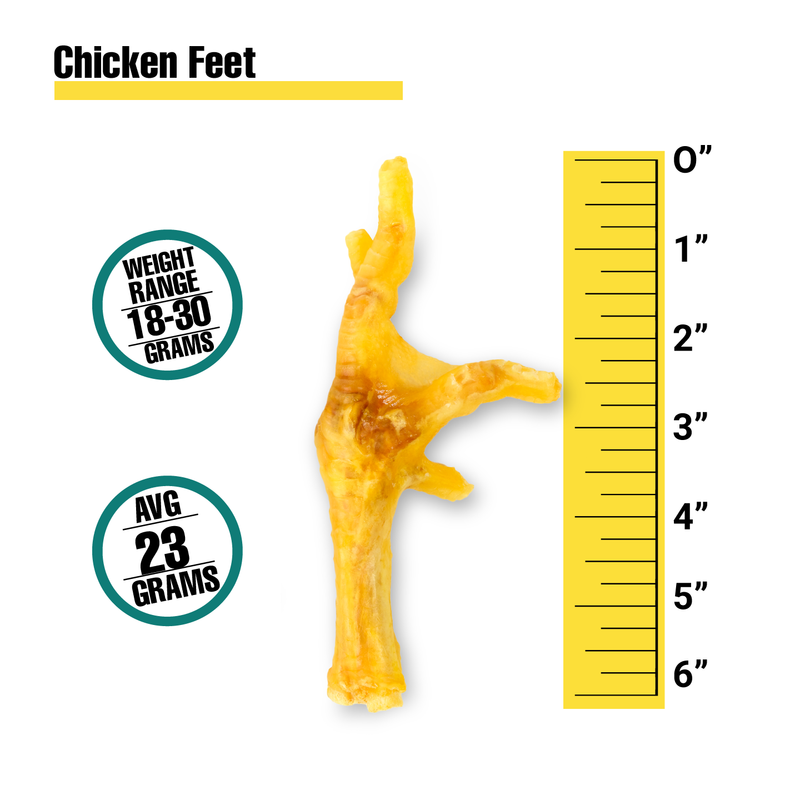 Nail Free Chicken Feet Chews for Dogs - Main Image