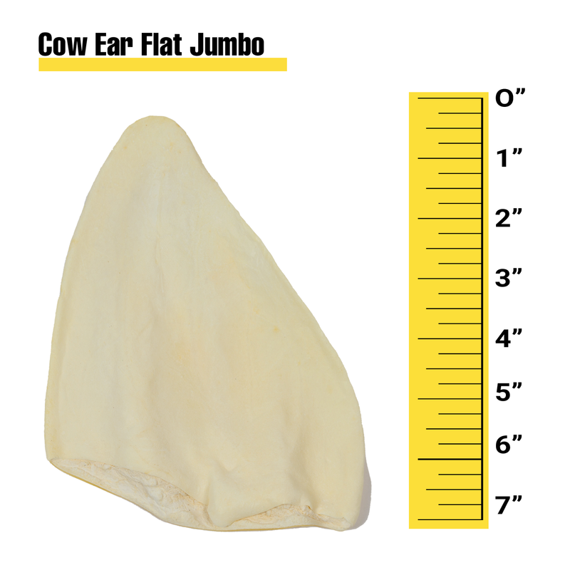 Cow Ear Flat Jumbo - Bulk Box