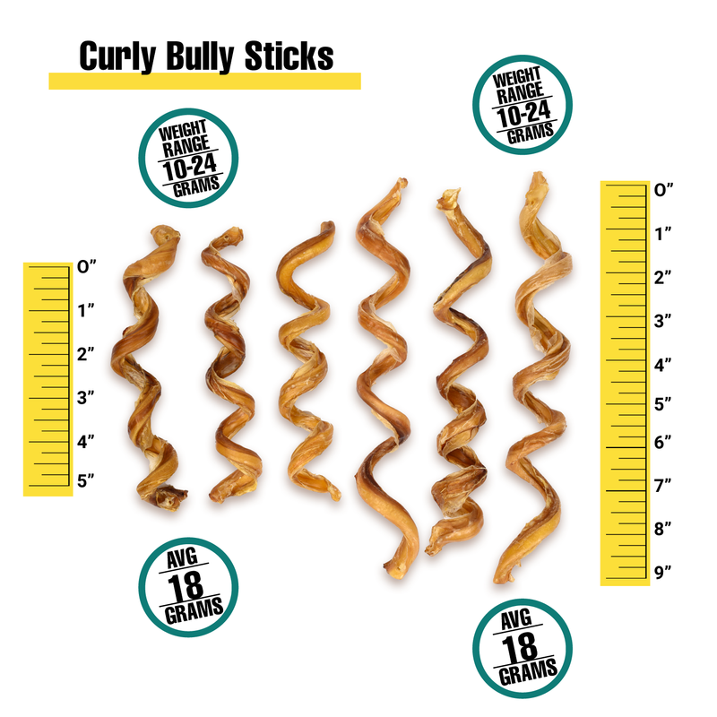 Curly Bully Sticks - Bulk Box