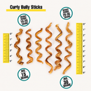 Curly Bully Sticks - Bulk