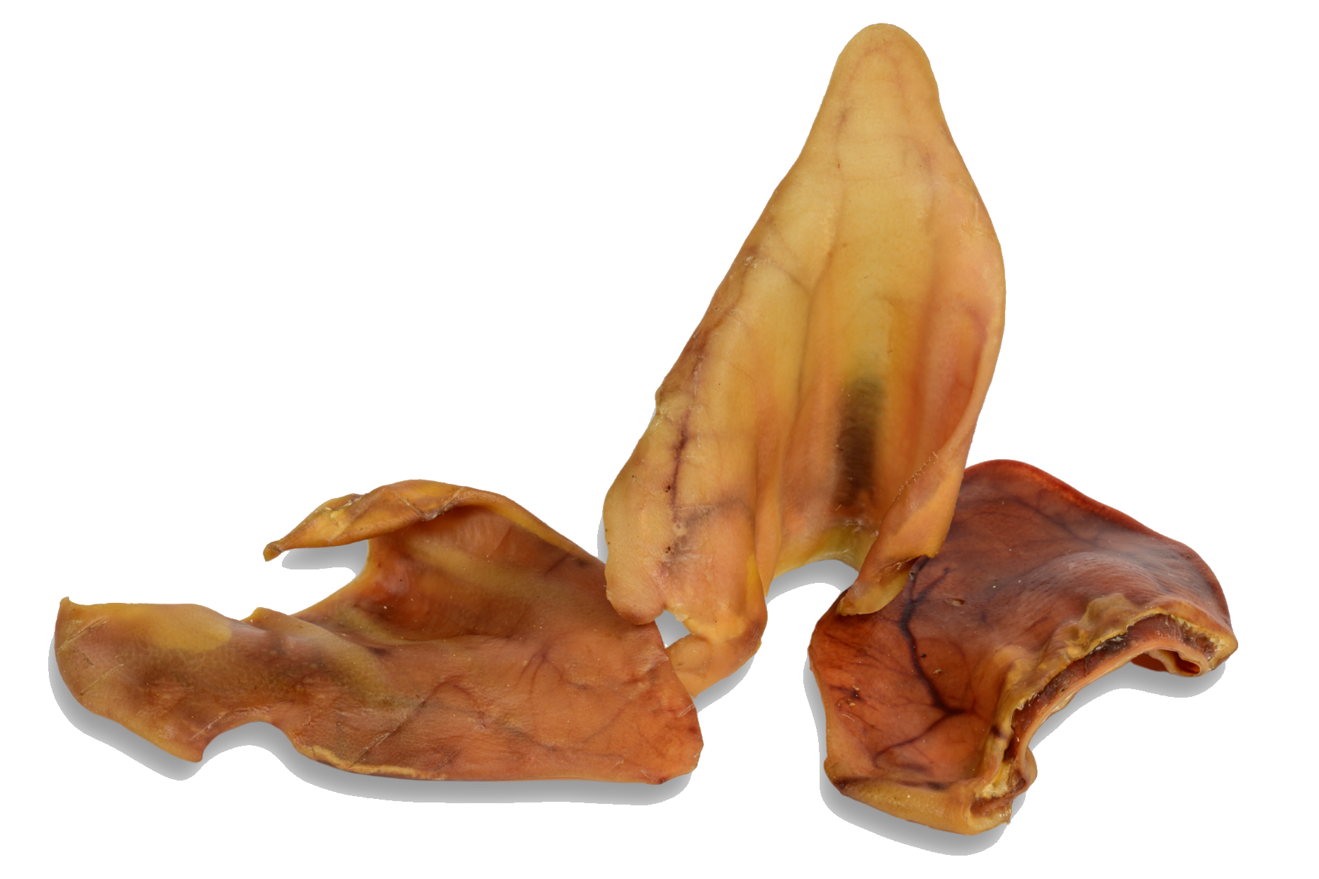 Zenta Pets Wholesale