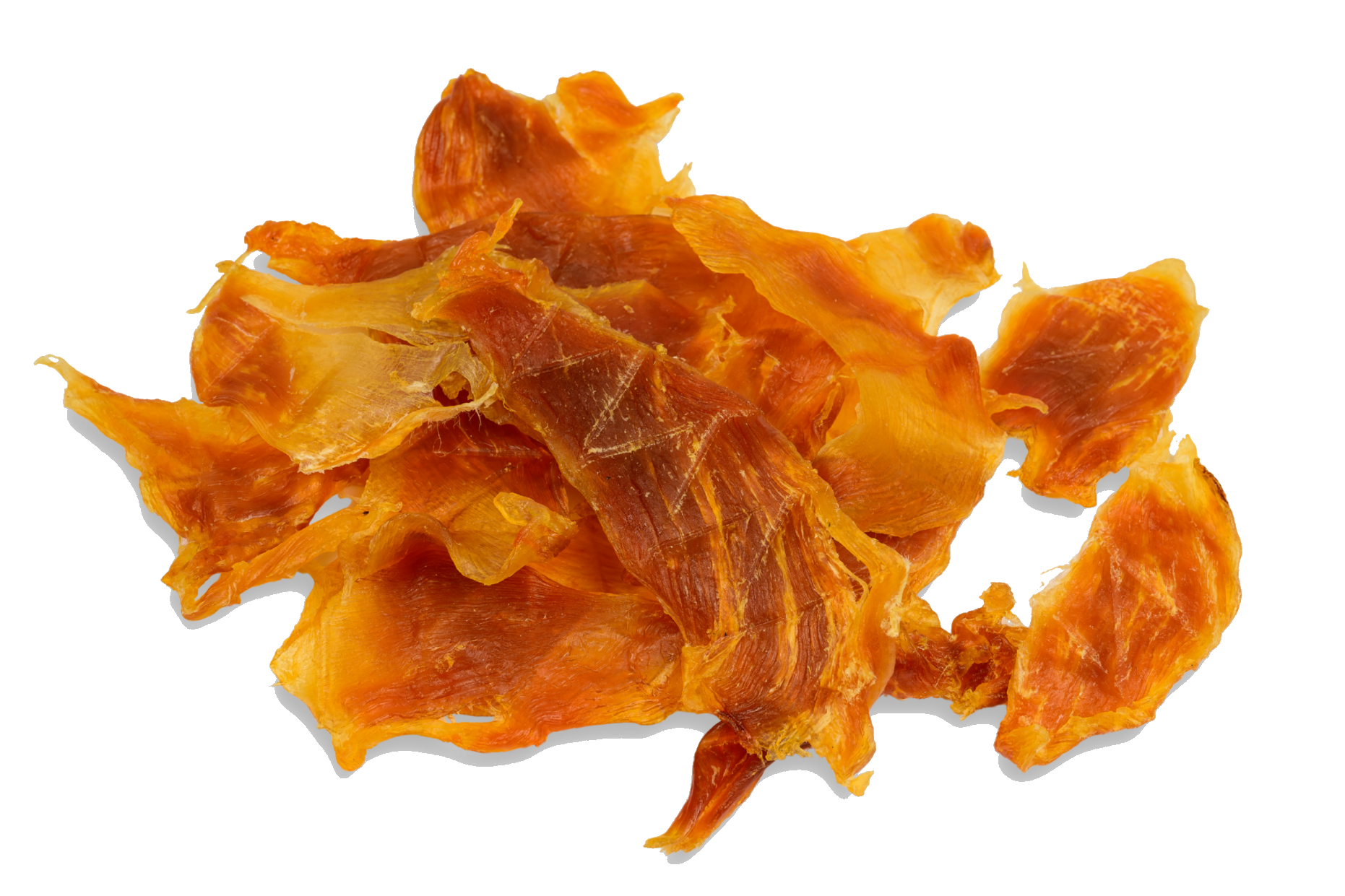Zenta Pets Wholesale