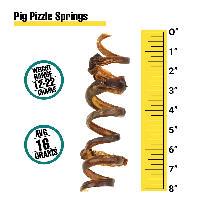 Pig Pizzle Springs - Bulk