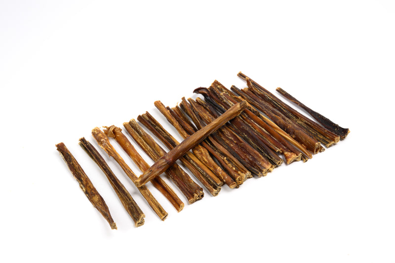Pig Pizzle Stick - Bulk Box