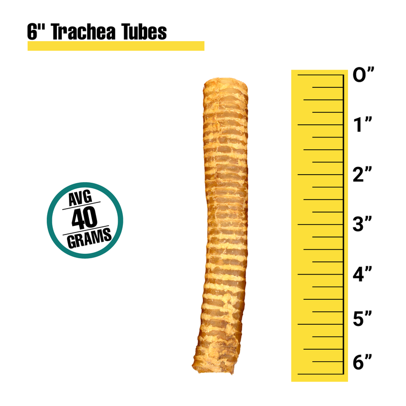 Trachea Tubes - Bulk Box