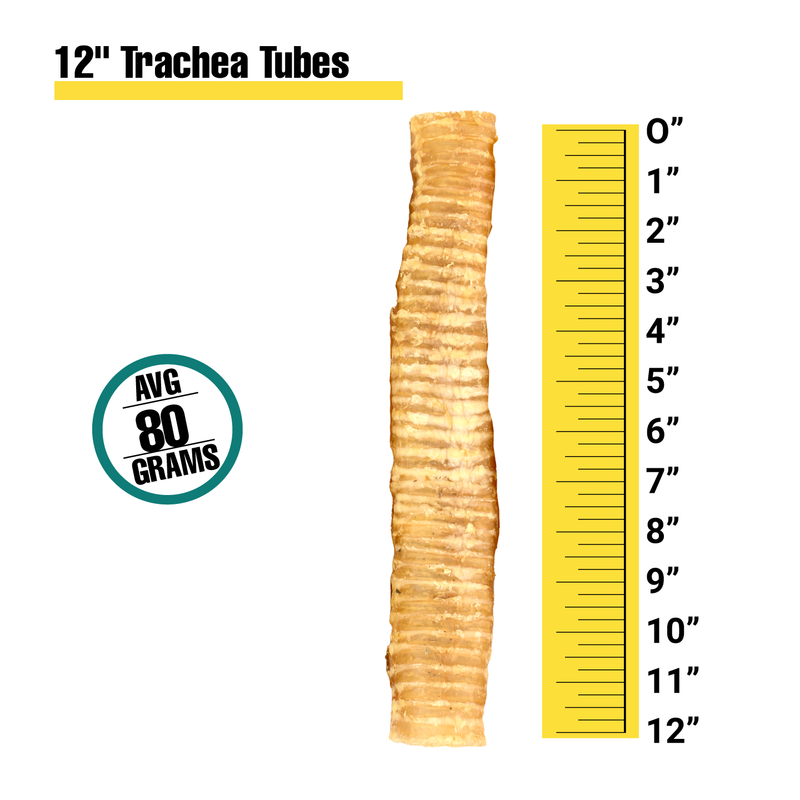 Trachea Tubes - Bulk Box