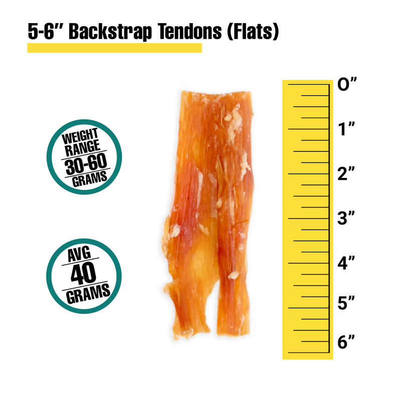 5-6'' Backstrap Tendons (Flats) - Bulk Box