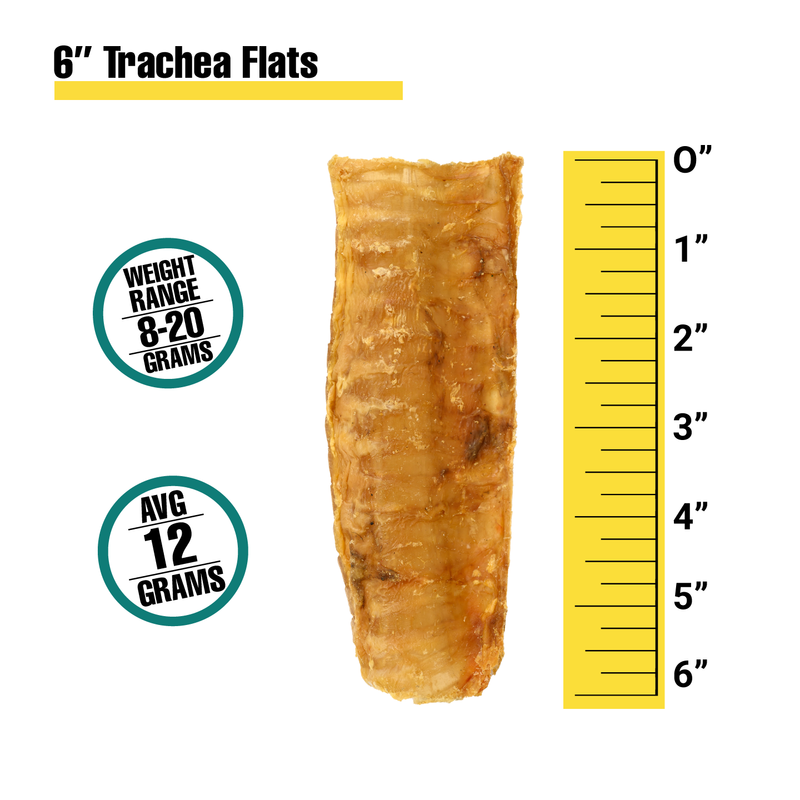 6" Trachea Flats - Bulk Box