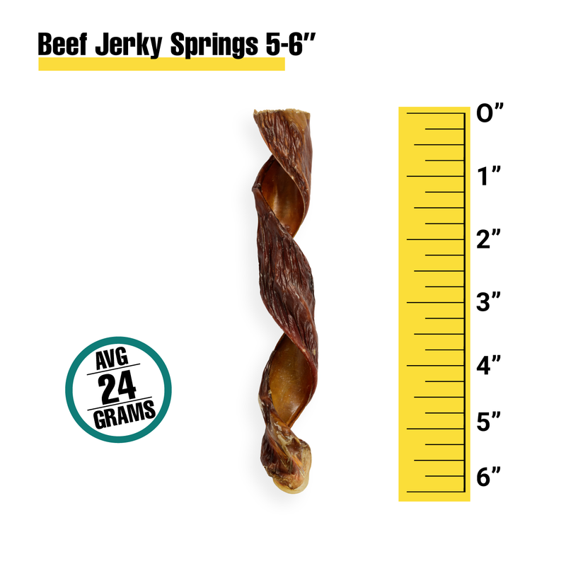 Beef Jerky Springs 5-6"