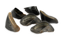 Cow Hooves Chews For Dogs