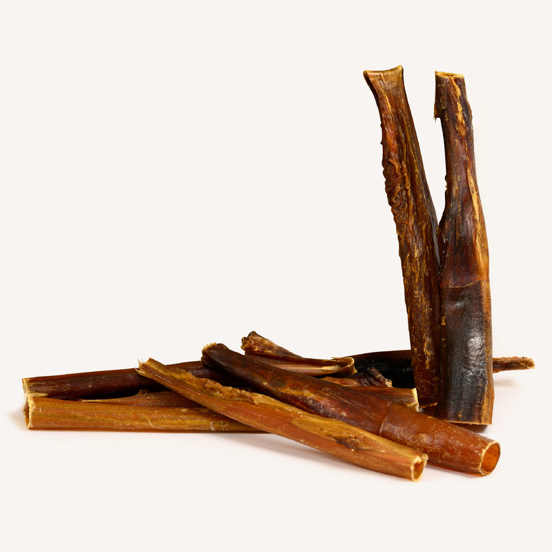 6'' Bully Stick Skin
