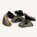 Cow Hooves - Bulk