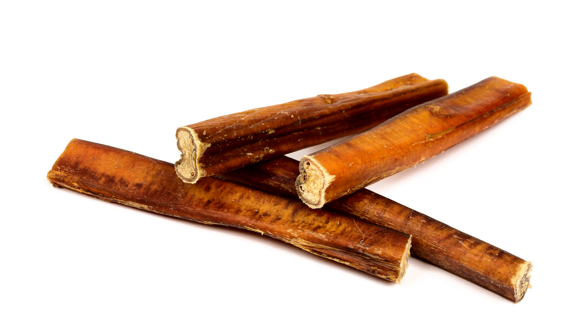 Zenta Pets Wholesale