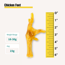 Chicken Feet - Bulk