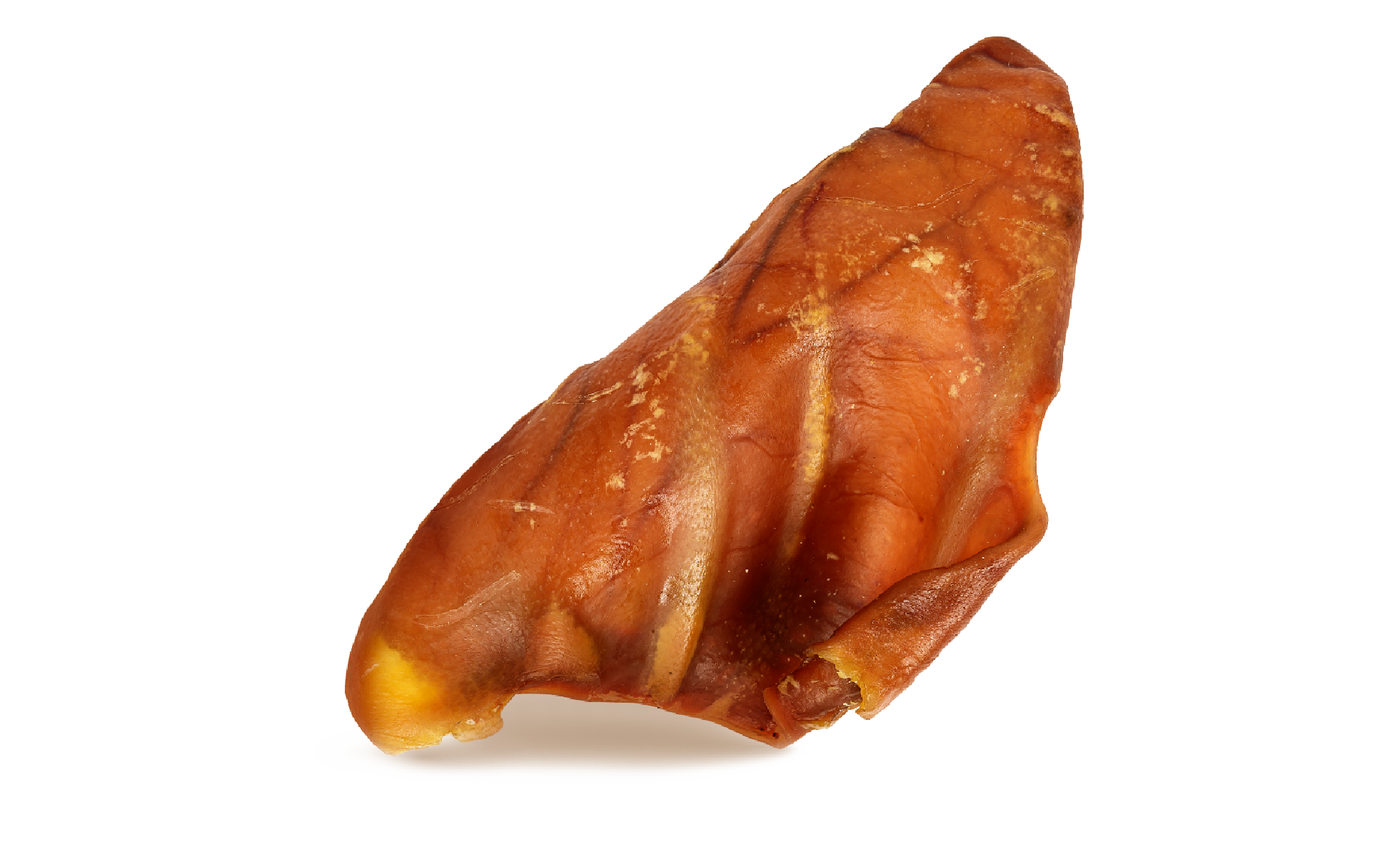 Zenta Pets Wholesale