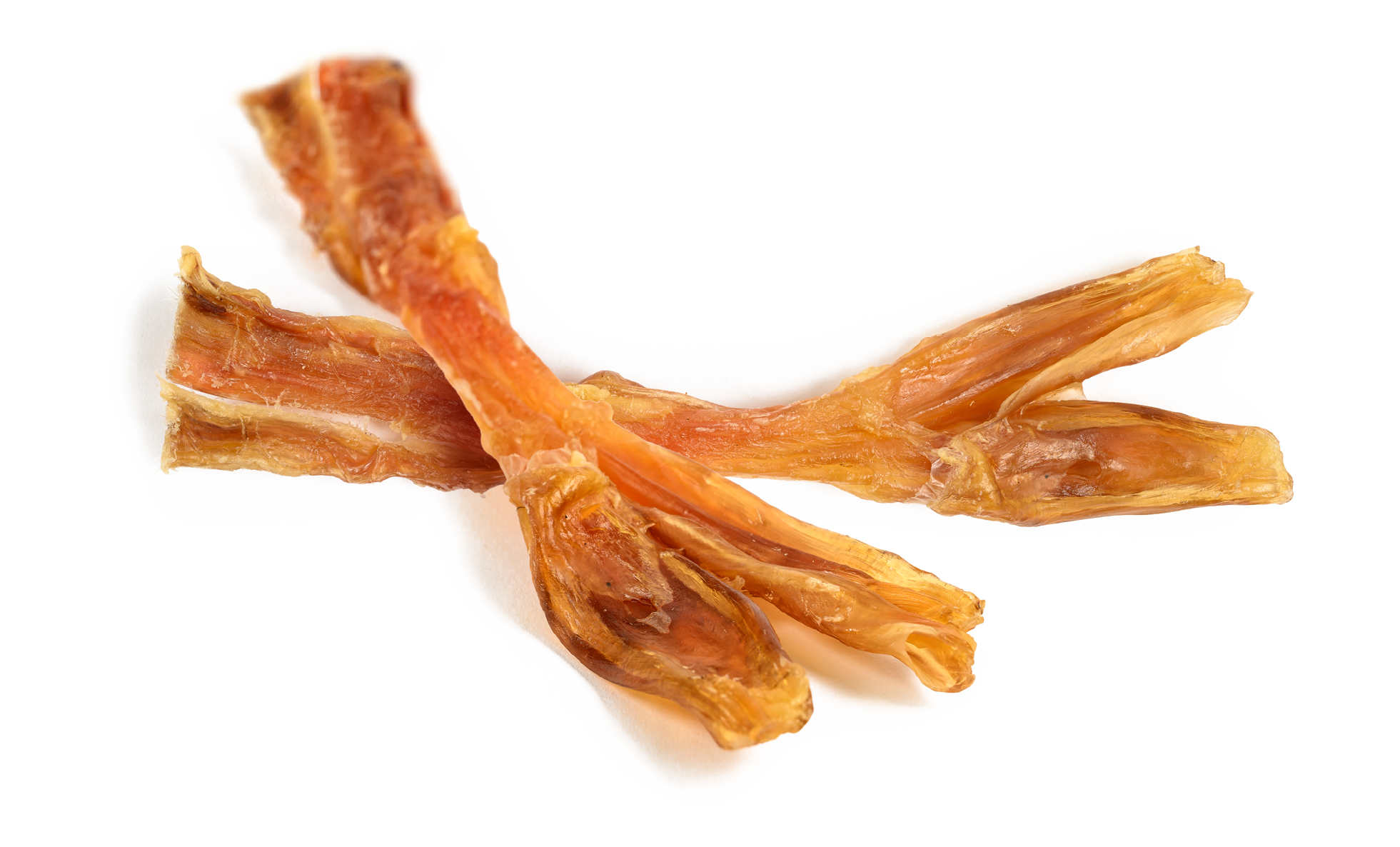 Zenta Pets Wholesale