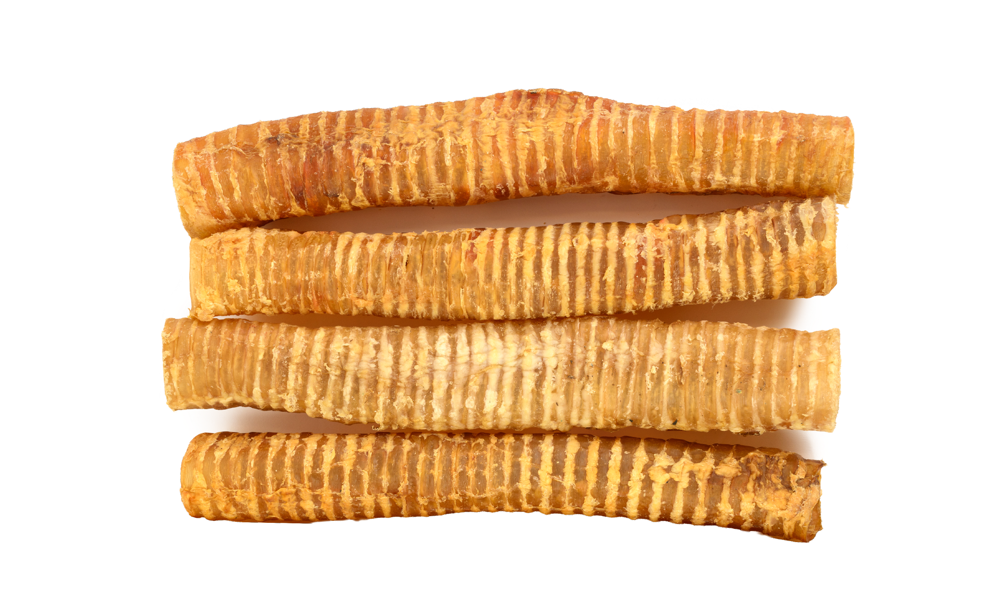 Zenta Pets Wholesale