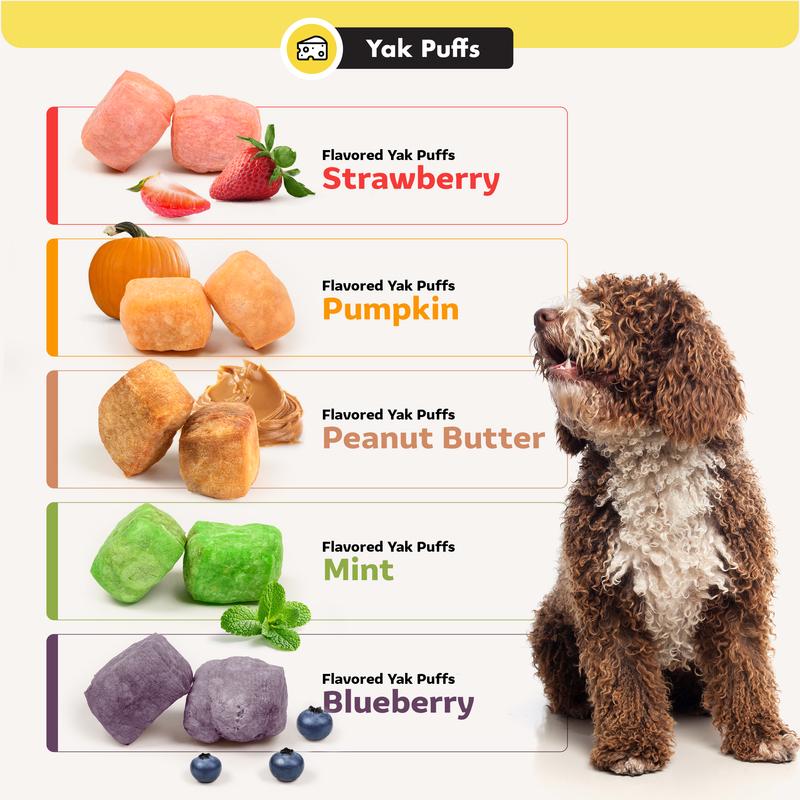 Flavored Yak Puffs - Bulk