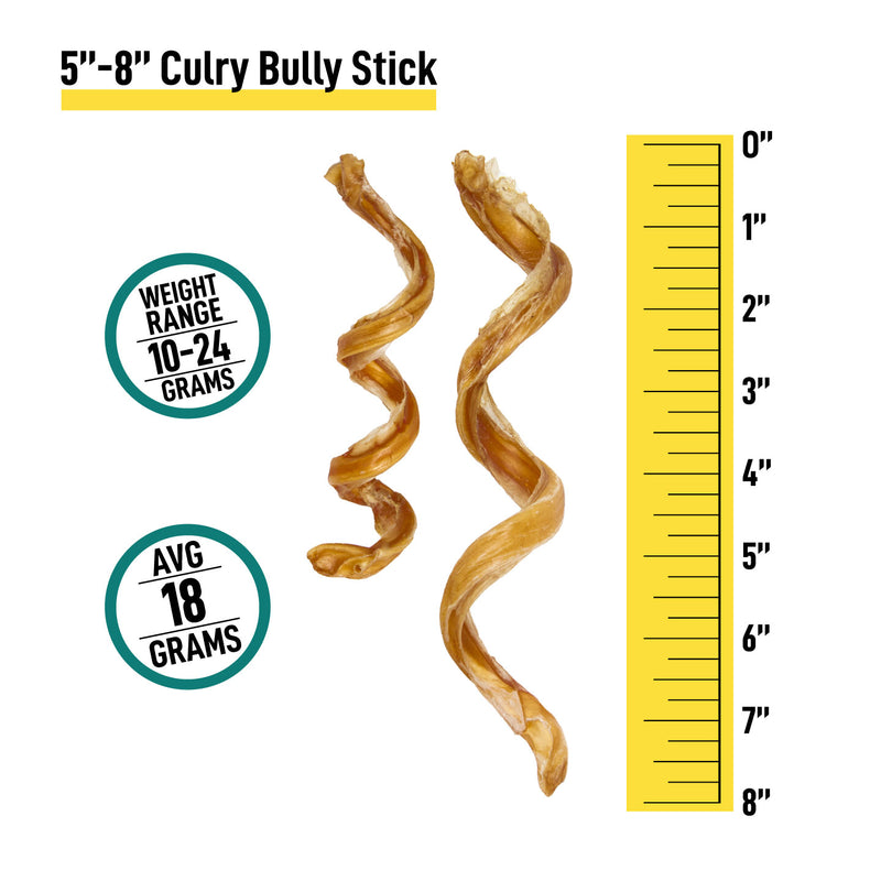 5-8” Curly Bully Sticks