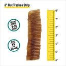6" Trachea Flats