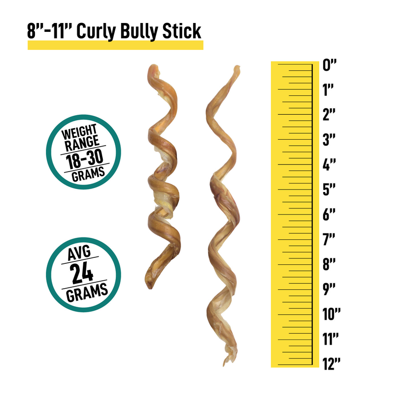 8-11” Curly Bully Sticks