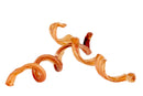 5-8” Curly Bully Sticks