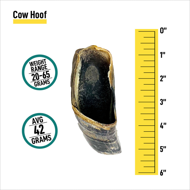 Cow Hooves - Bulk Box