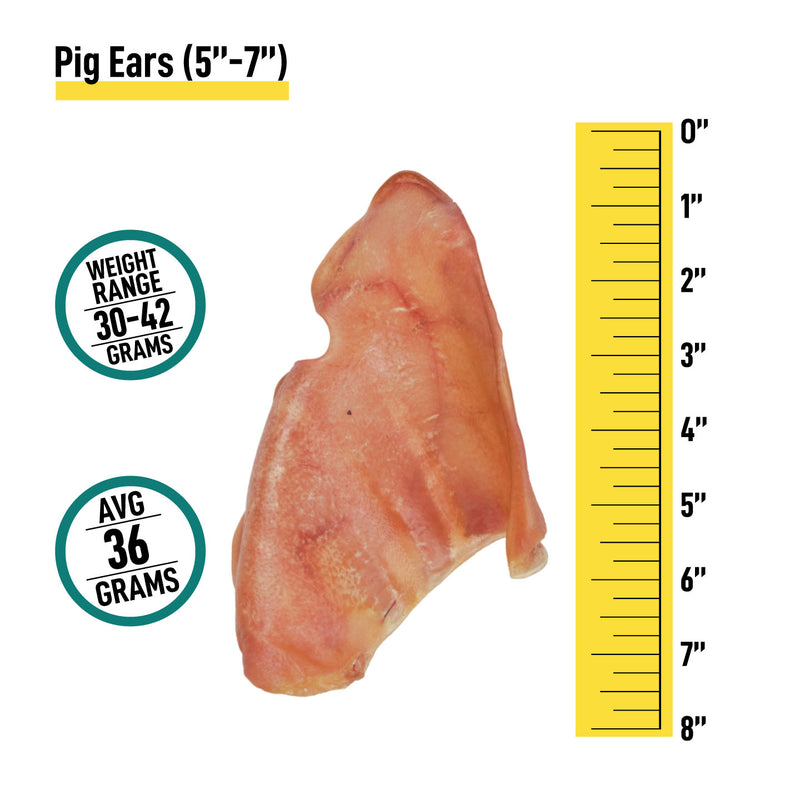 Pig Ears - Bulk Box